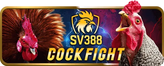 Bước 1: Đăng ký tài khoản MC876